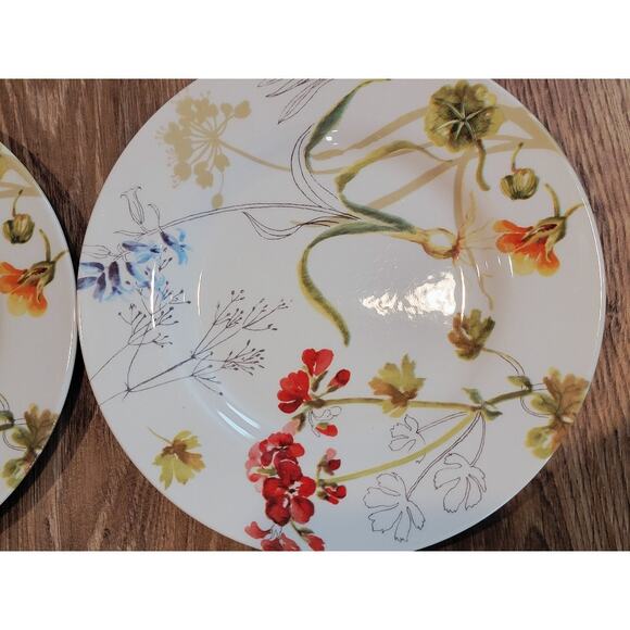 Royal Stafford Earthenware Sketchbook Salad Plates 8.5" Set of 4 Floral Harvest - Picture 2 of 6